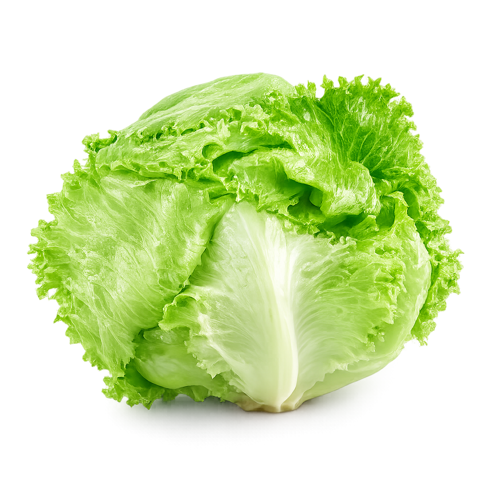 Lechuga Megafrescos